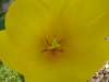 p1050307.jpg