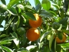 image020