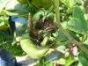 image021