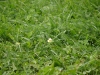 image041