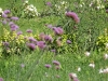 image055