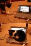 Katze vs. Sony Vaio