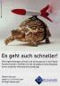 Schildkroete