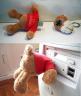 USB Teddy