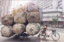 Transporter