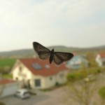 p1050258